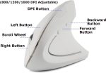 Wireless Mouse Ergonomic Vertical Mouse Ergo High Presion Optical Lightweight Cordless LED Light Cute Wireless Mouse for Laptop Computer Mac Office Girl Boy Adults Gift , 800/1200/1600 DPI, 6 Buttons - Image 4